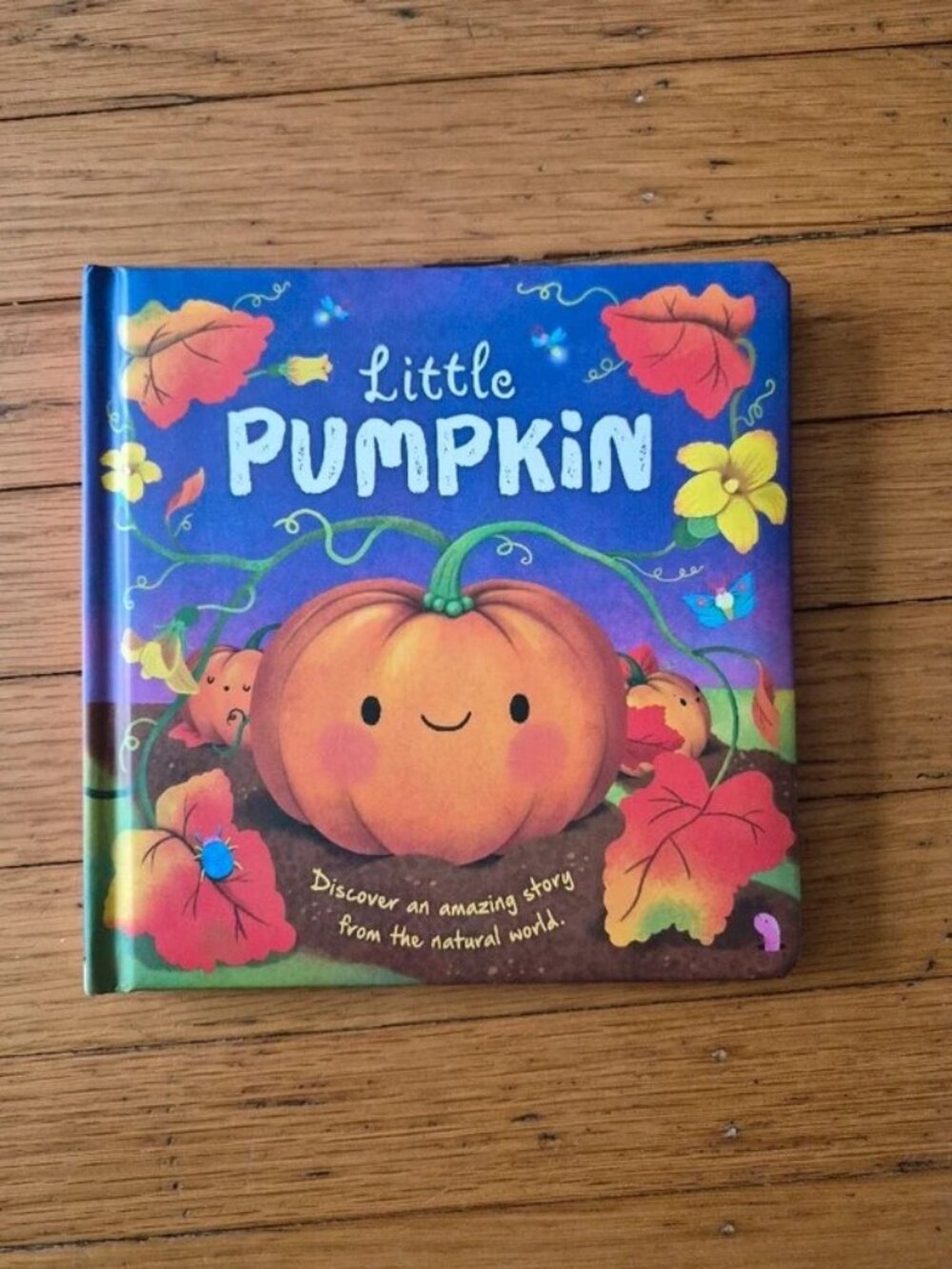 Little Pumpkin